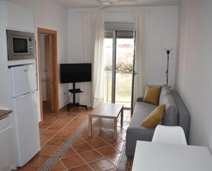 Living room of Apartment to rent in Zafra  with Air Conditioner, Heating and Furnished