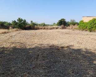 Land for sale in Vallfogona de Balaguer