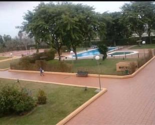 Swimming pool of Flat to rent in San Juan de Aznalfarache  with Heating, Private garden and Terrace