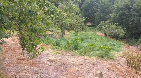 Foto 4 von Country house zum Verkauf in A Derrasa, 23, O Pereiro de Aguiar , Ourense