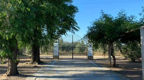 Finca rústica en venda a Calle Pago Mantequero, 2, Arahal, Sevilla - imatge 2 Foto 2 de Finca rústica en venda a Calle Pago Mantequero, 2, Arahal, Sevilla
