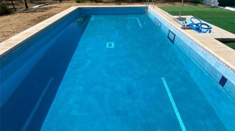 Finca rústica en venda a Calle Pago Mantequero, 2, Arahal, Sevilla - imatge 4 Foto 4 de Finca rústica en venda a Calle Pago Mantequero, 2, Arahal, Sevilla