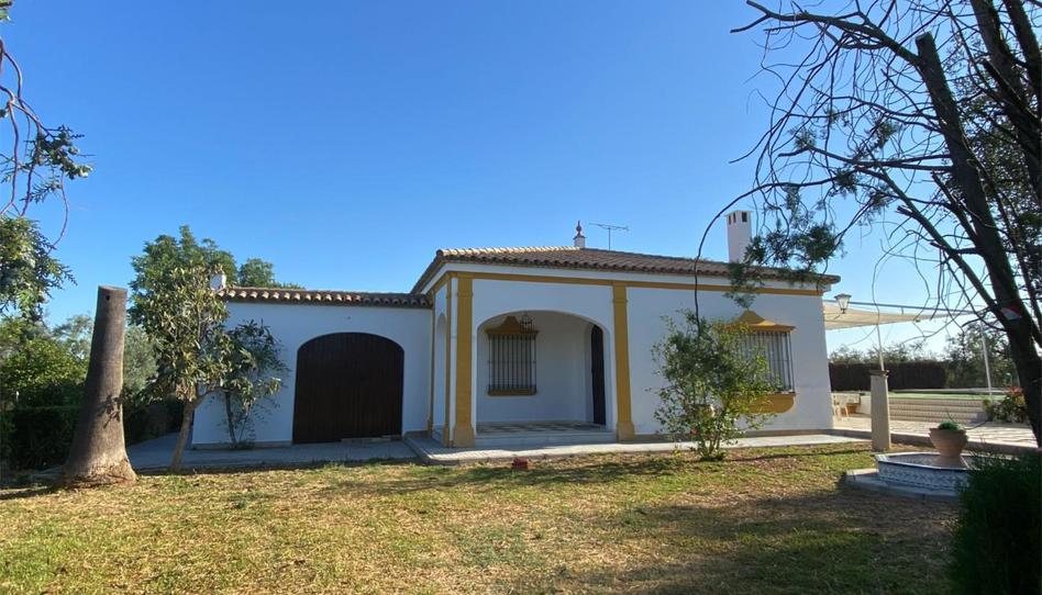 Finca rústica en venda a Calle Pago Mantequero, 2, Arahal, Sevilla - imatge 1 Foto 1 de Finca rústica en venda a Calle Pago Mantequero, 2, Arahal, Sevilla