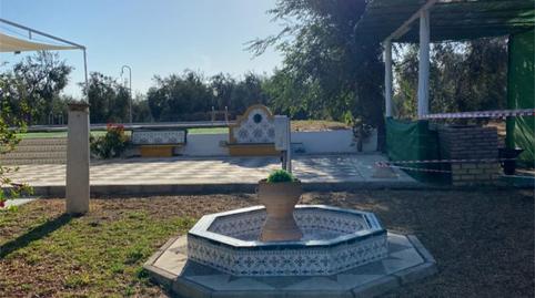 Finca rústica en venda a Calle Pago Mantequero, 2, Arahal, Sevilla - imatge 3 Foto 3 de Finca rústica en venda a Calle Pago Mantequero, 2, Arahal, Sevilla