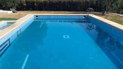 Finca rústica en venda a Calle Pago Mantequero, 2, Arahal, Sevilla - imatge 5 Foto 5 de Finca rústica en venda a Calle Pago Mantequero, 2, Arahal, Sevilla