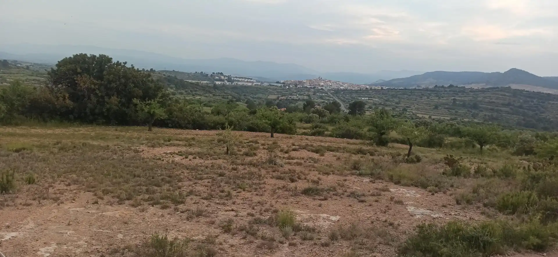 Finca rústica en venda a Camino Aljibe, 2, Andilla Finca rústica en venda en Andilla