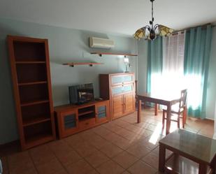 Living room of Study to rent in Almendralejo  with Air Conditioner, Heating and Furnished