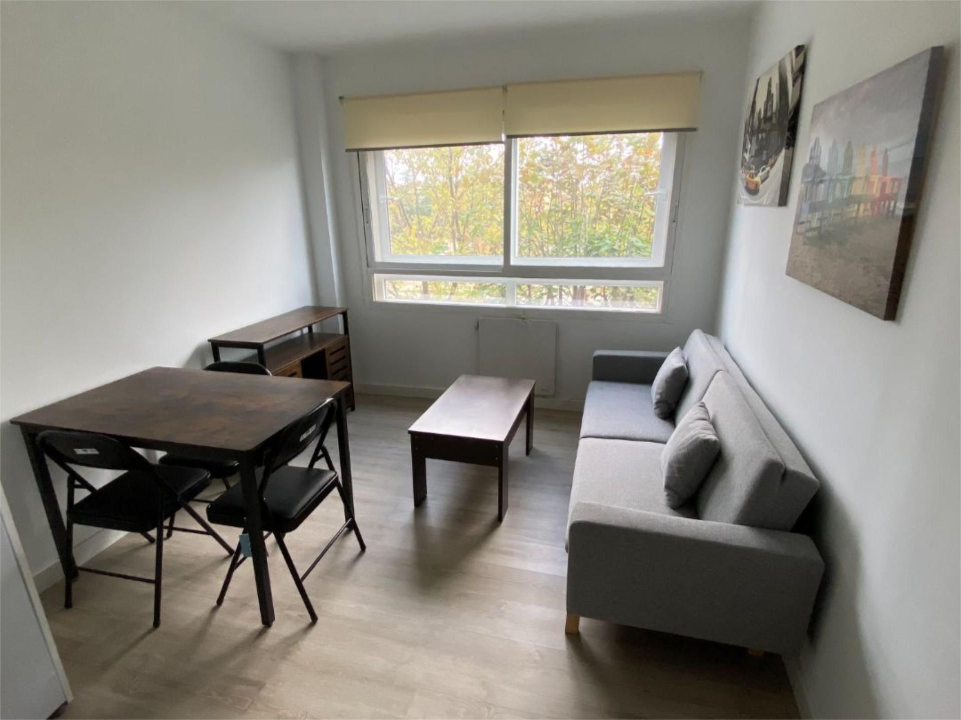 Sala d'estar de Apartament de lloguer en  Madrid Capital amb Aire condicionat, Calefacció i Jardí privat