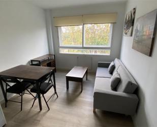 Sala d'estar de Apartament de lloguer en  Madrid Capital amb Aire condicionat, Calefacció i Jardí privat