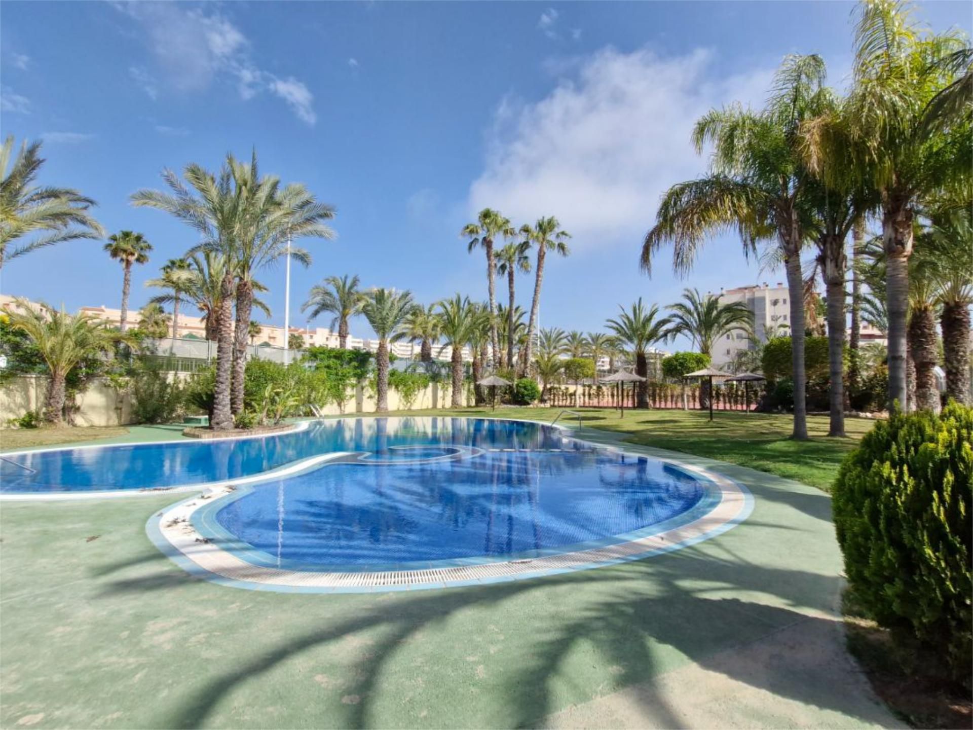 Swimming pool of Apartment for sale in Elche / Elx  with Air Conditioner, Terrace and Swimming Pool