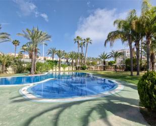 Swimming pool of Apartment for sale in Elche / Elx  with Air Conditioner, Terrace and Swimming Pool