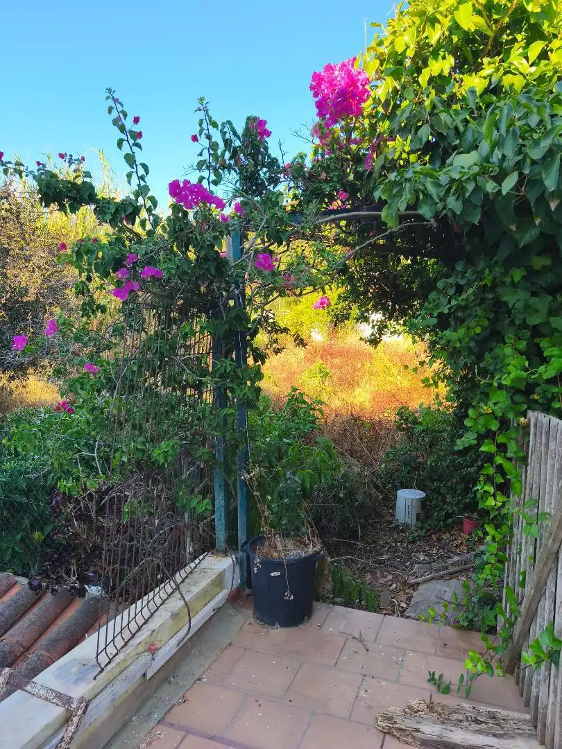 Garden of Flat for sale in Es Mercadal  with Heating, Private garden and Terrace