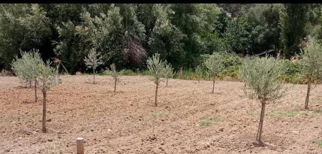 Terreno en Venta en El Edén