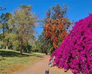 Garden of Flat to rent in Puerto de la Cruz  with Terrace and Balcony