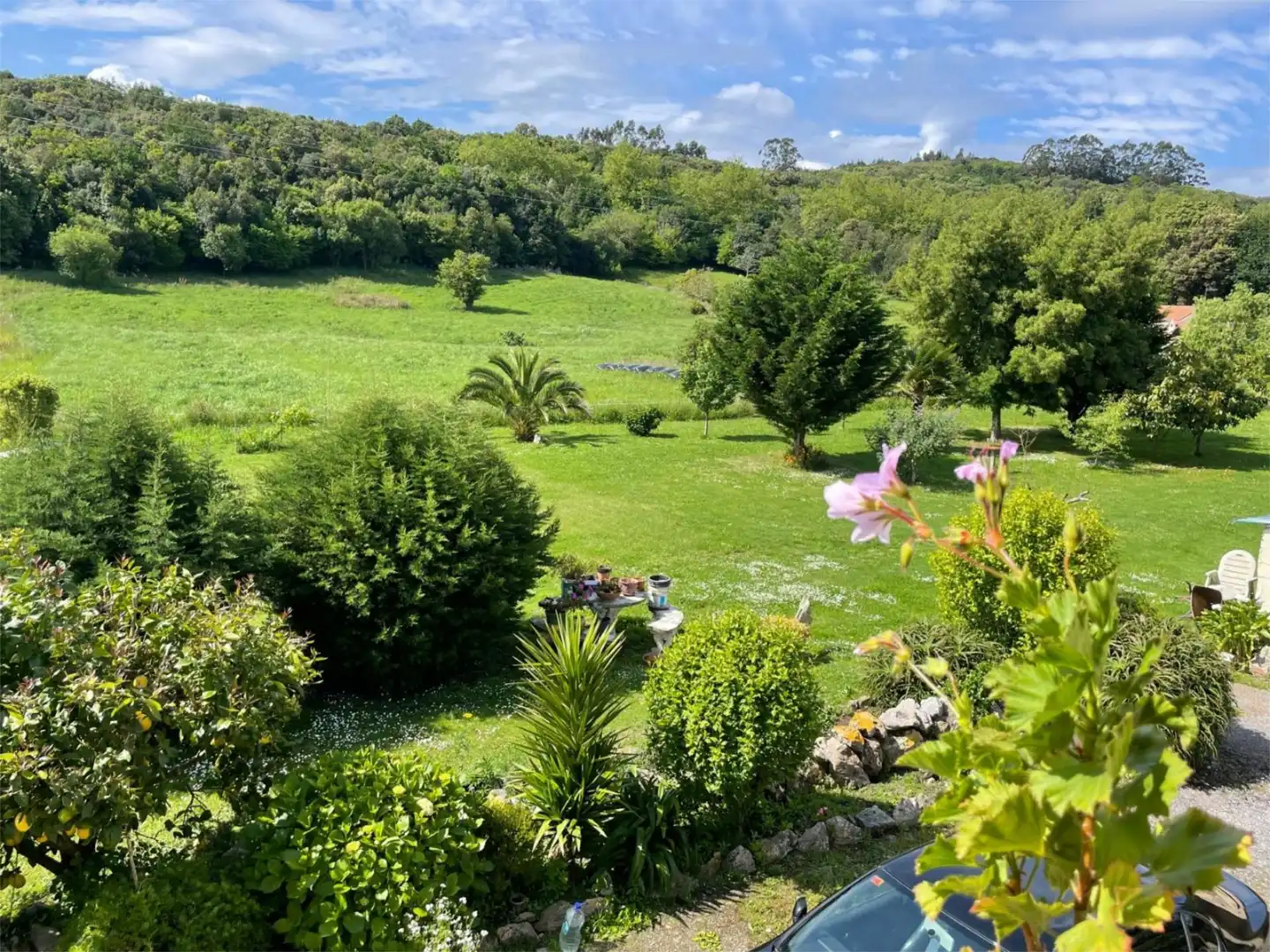 Houses for sale in Arnuero Garden of Houses for sale in Arnuero