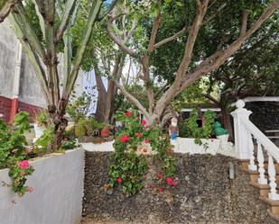 Garden of Planta baja to rent in Las Palmas de Gran Canaria  with Terrace