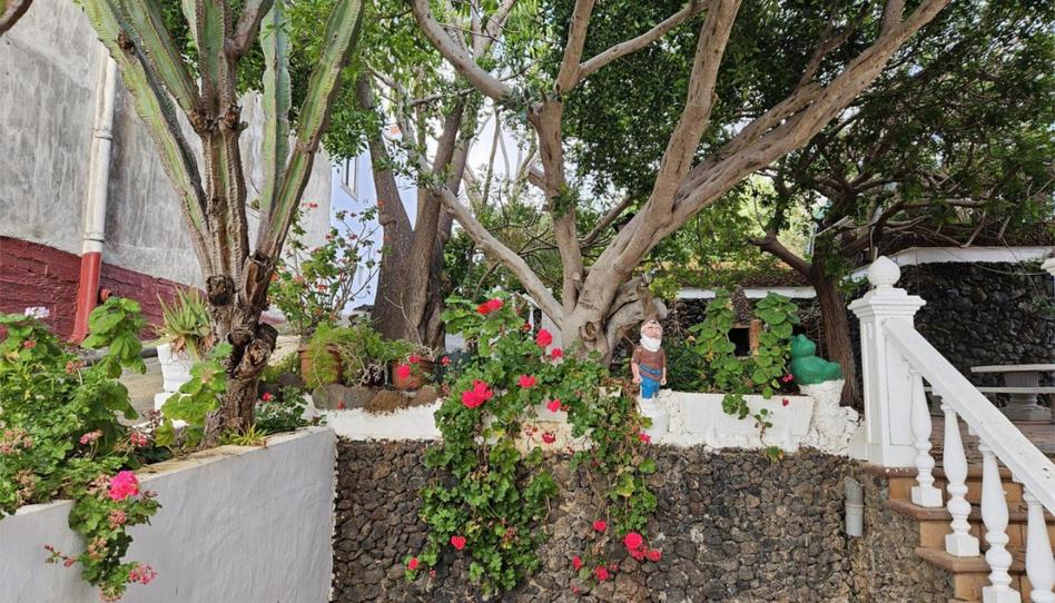 Planta baja to rent in Lugar Lomo el Diviso, 21, Almatriche, Las Palmas - image 1 Photo 1 of Planta baja to rent in Lugar Lomo el Diviso, 21, Almatriche, Las Palmas