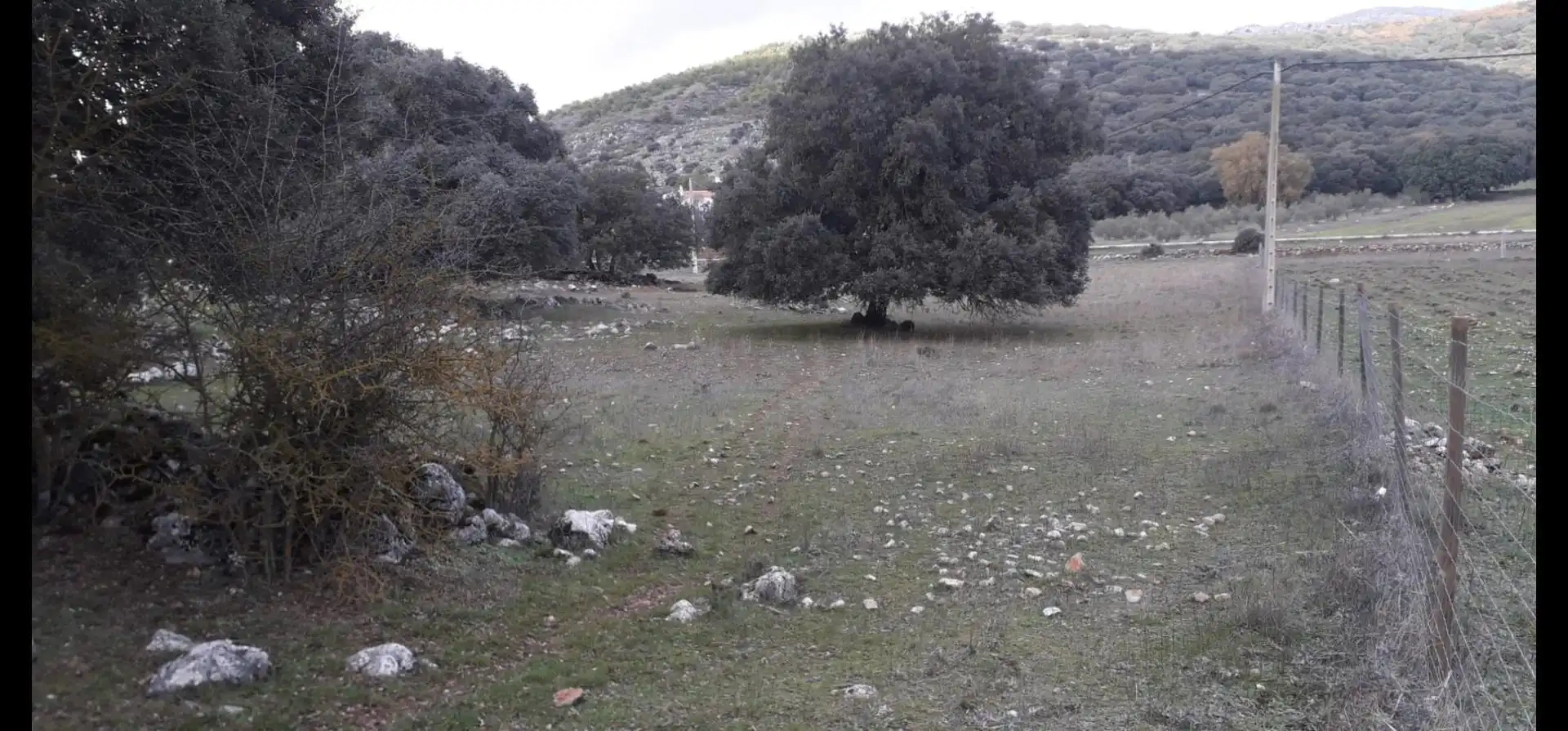 Finca rústica en venda a Zafarraya Finca rústica en venda en Zafarraya