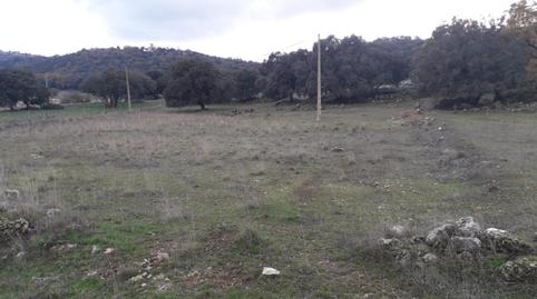 Pis en venda a Zafarraya, Granada - imatge 3 Foto 3 de Pis en venda a Zafarraya, Granada