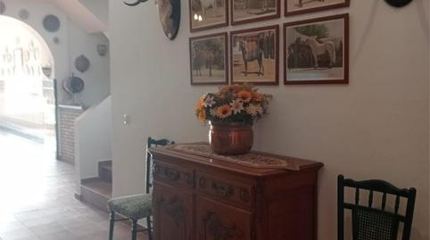 Finca rústica en venda a Calle Vetalengua, 110, El Rocío, Huelva - imatge 3 Foto 3 de Finca rústica en venda a Calle Vetalengua, 110, El Rocío, Huelva