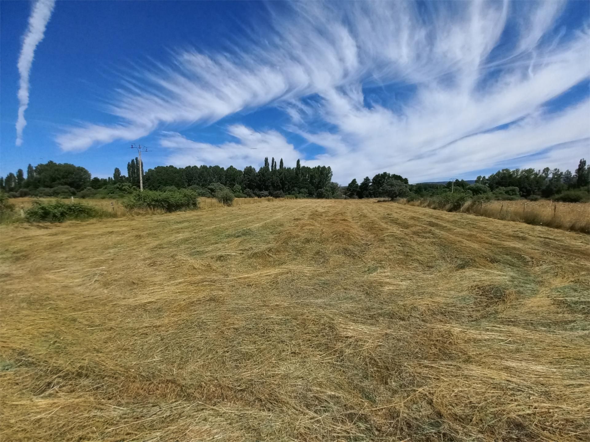 No Urbanitzable en venda en San Miguel de Corneja
