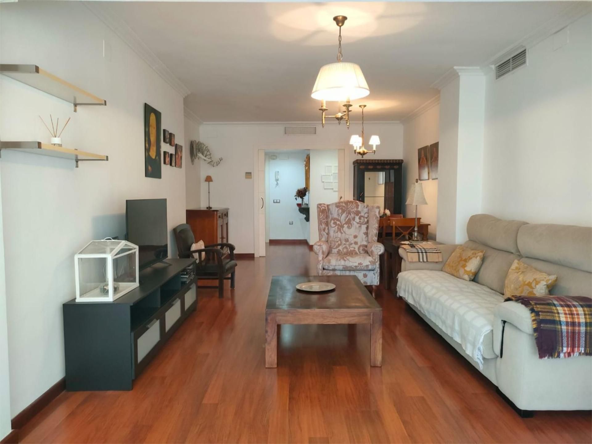 Living room of Flat to rent in Málaga Capital  with Air Conditioner, Heating and Parquet flooring
