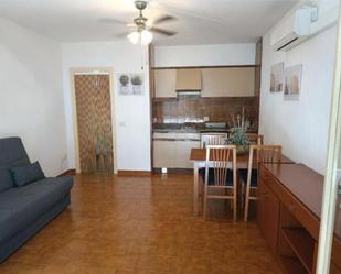 Kitchen of Loft to rent in Pineda de Mar  with Terrace and Furnished