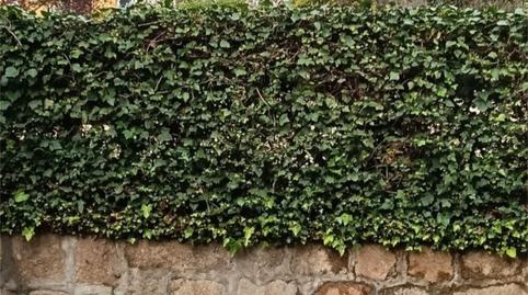 Foto 5 de Casa o chalet en venta en Calle del Quejigo, 48, El Soto de la Moraleja, Madrid