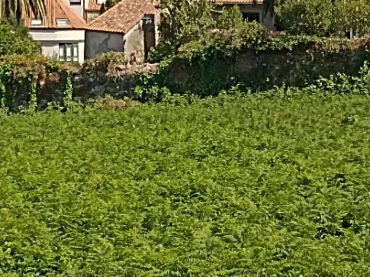 Urbanitzable en venda en A Pobra do Caramiñal