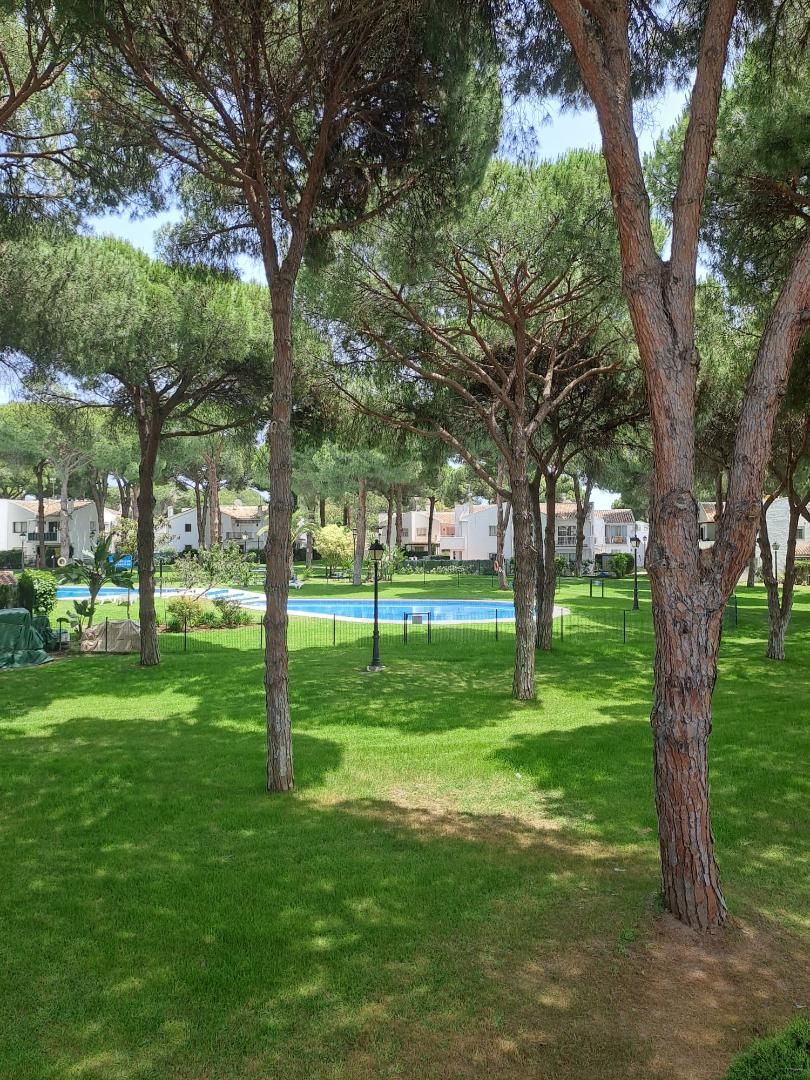 Garden of Single-family semi-detached for sale in Estepona  with Air Conditioner and Terrace