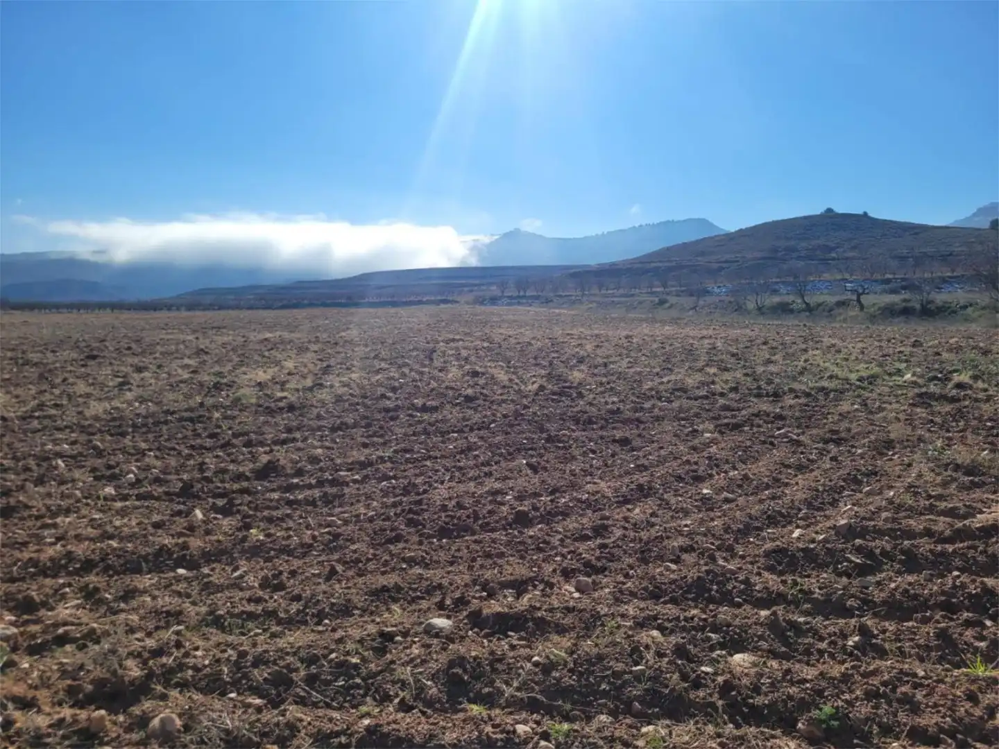 Terreno en venta en Camino Aniñón, 8, Torralba de Ribota Terreno en venta en Torralba de Ribota