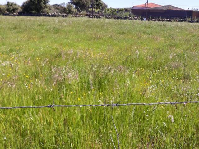 Terreno residencial en Venta en Avenida de la Paz, 51 en Plasenzuela