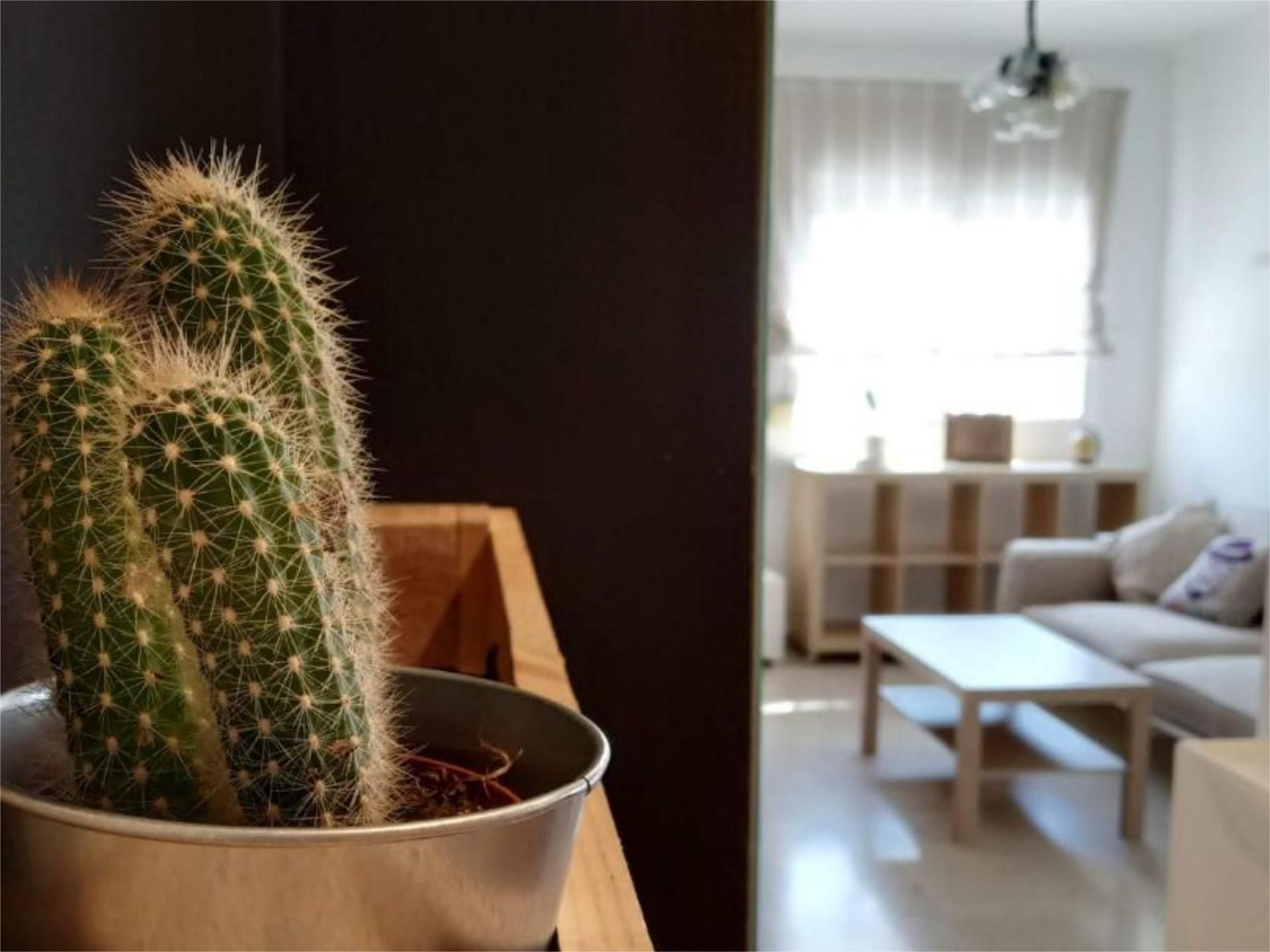 Flat to rent in Calle Martín de la Plaza, 31, Camino de Antequera