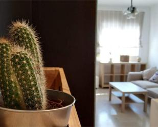 Flat to rent in Calle Martín de la Plaza, 31, Camino de Antequera