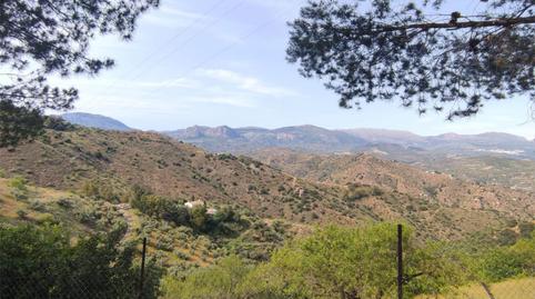 Foto 3 de Casa o xalet de lloguer a Calle Camino de Solano, 0b, Colmenar, Málaga