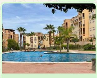 Swimming pool of Flat to rent in Molina de Segura