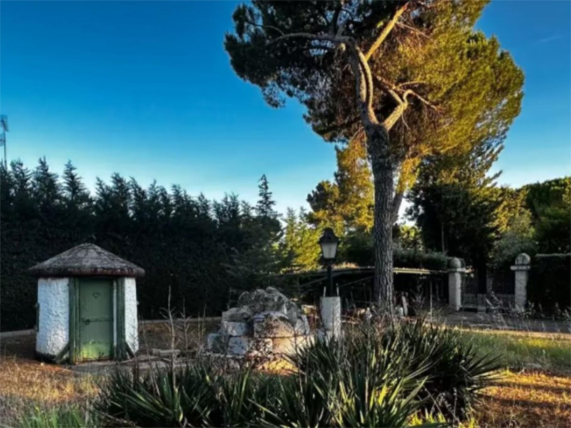 Garden of Constructible Land for sale in Chapinería