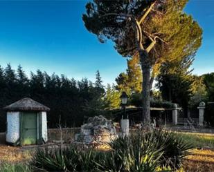Jardí de Urbanitzable en venda en Chapinería