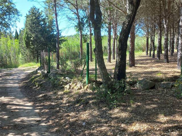 Terreno en Venta en Carrer Major, 1 en Capmany