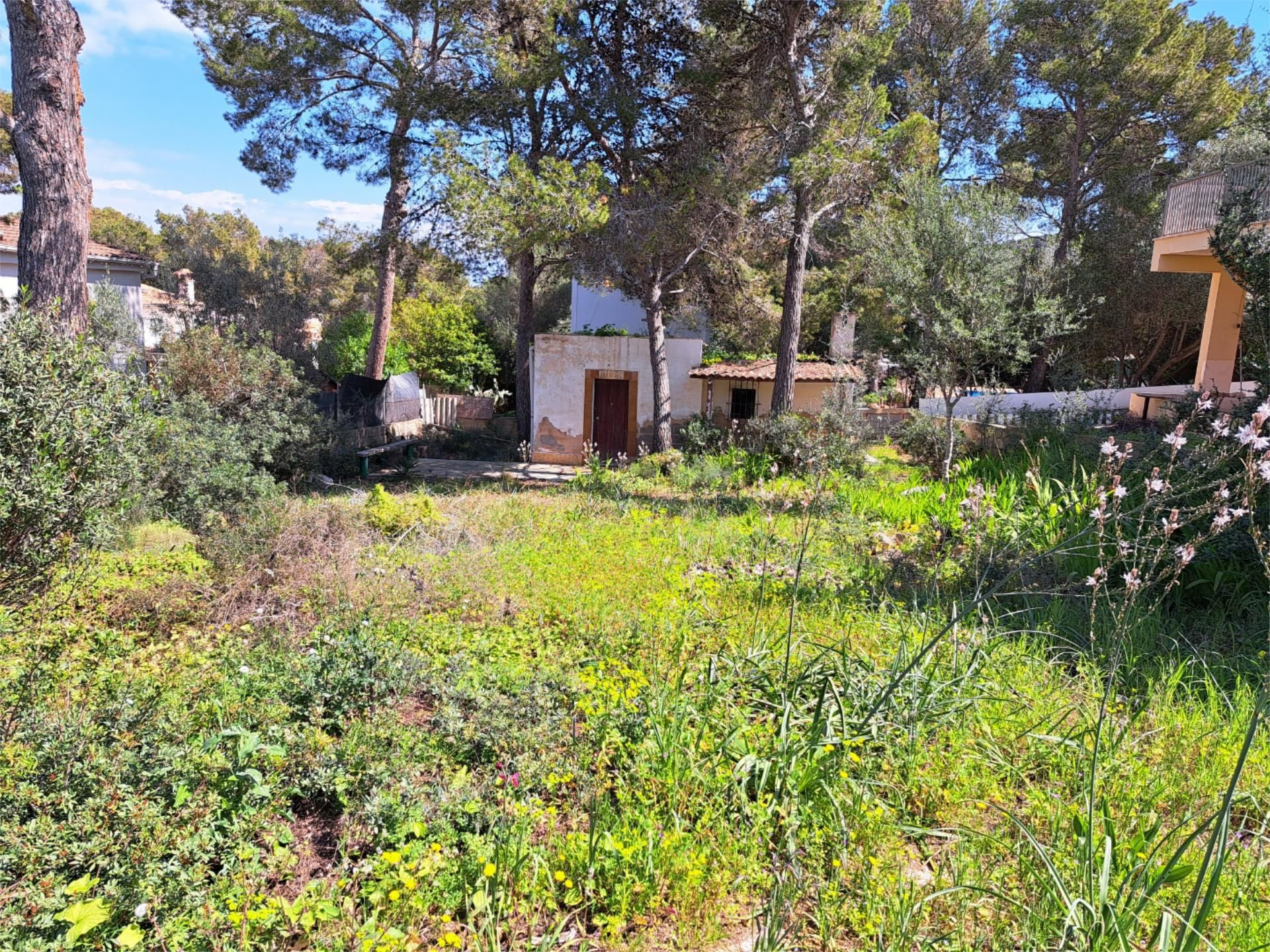 Urbanitzable en venda en Calvià