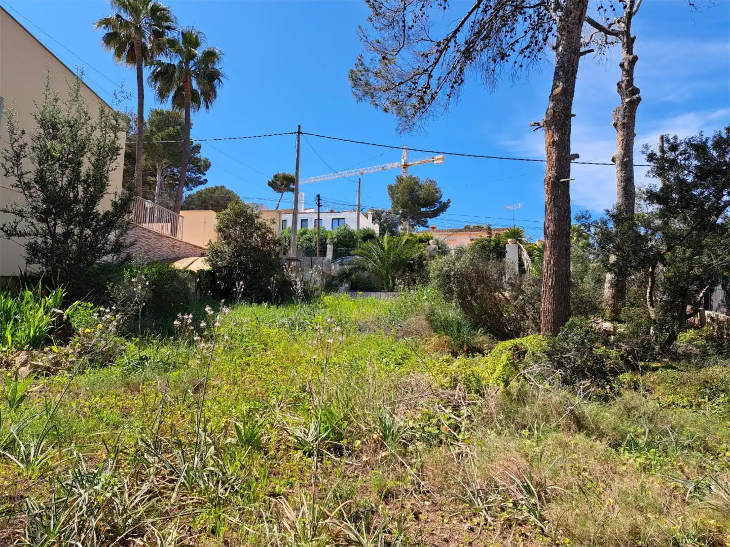Urbanizable en venta en Calvià