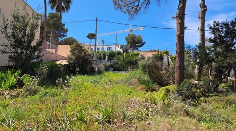 Photo 2 of Constructible Land for sale in Avinguda del Sol, 53, El Toro, Illes Balears