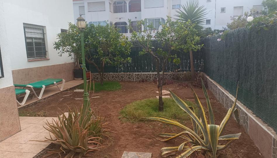 Flat for sale in Calle Cañada Blanca, 7, Cho - Parque de la Reina, Santa Cruz de Tenerife - image 1 Photo 1 of Flat for sale in Calle Cañada Blanca, 7, Cho - Parque de la Reina, Santa Cruz de Tenerife