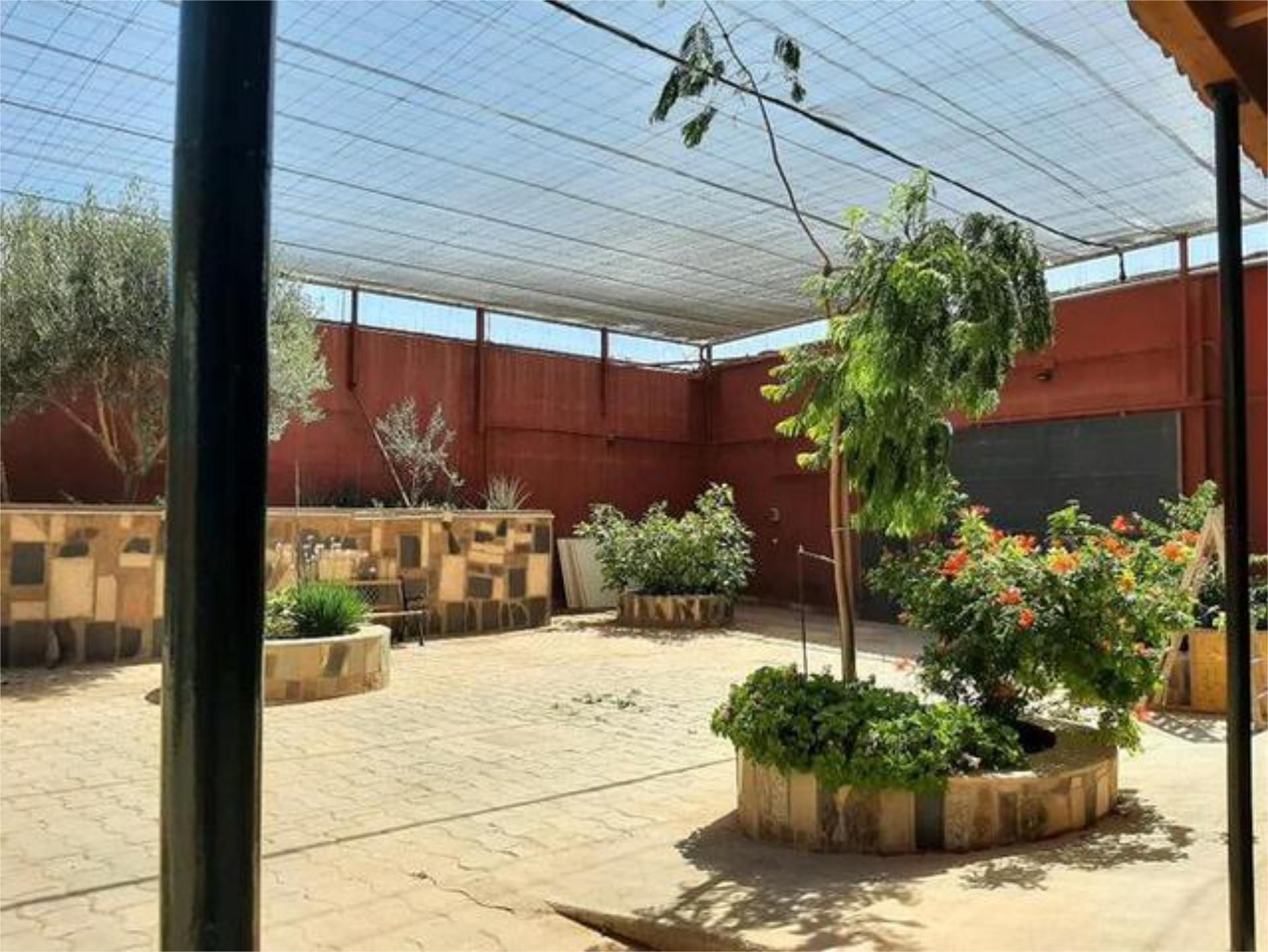 Terrace of Apartment to rent in Santa Lucía de Tirajana  with Terrace