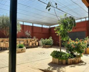 Terrace of Apartment to rent in Santa Lucía de Tirajana  with Terrace