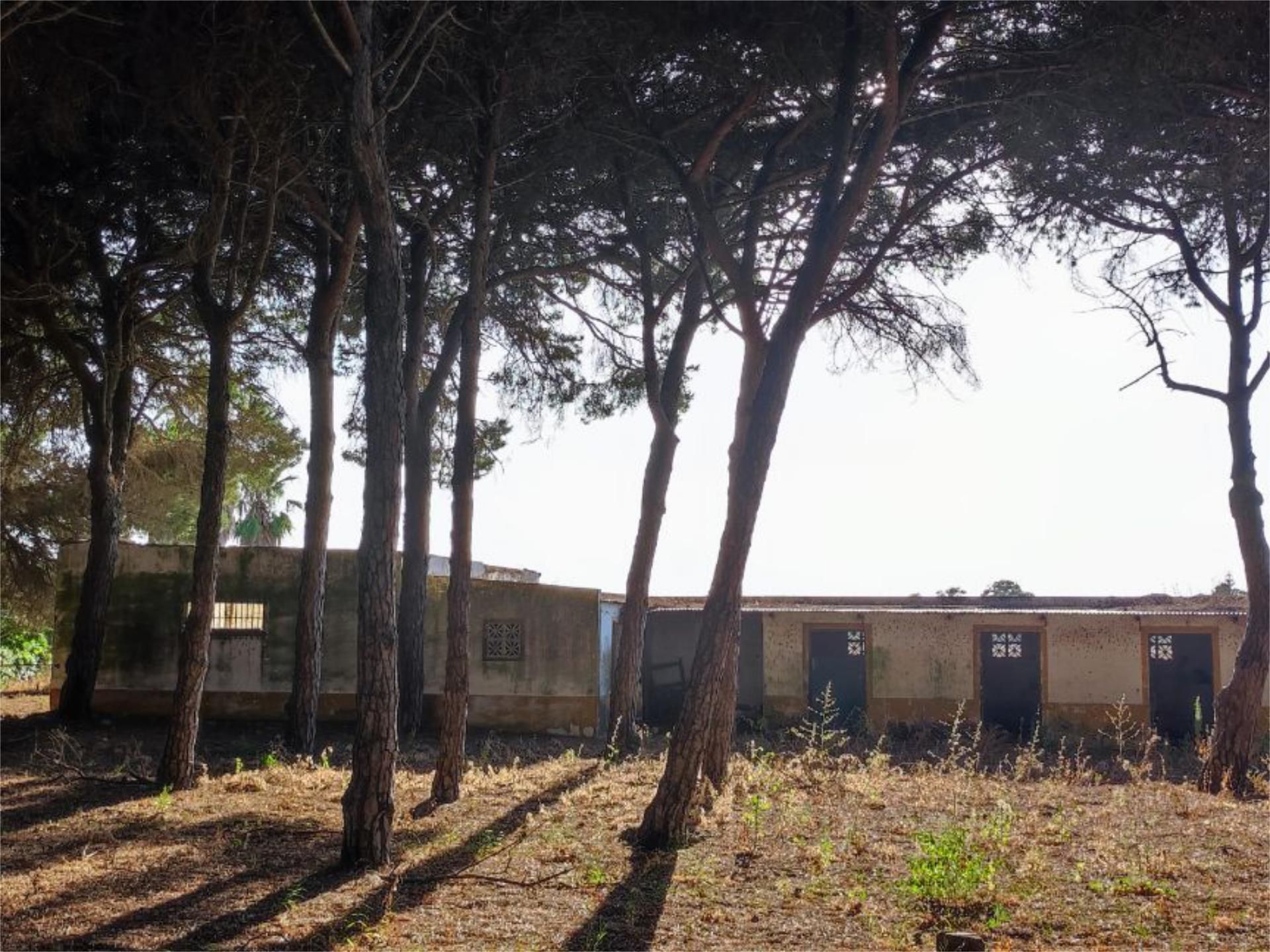 Pis en venda a Camino Colada de Fuente Amarga, 69, Las Lagunas - Campano Vista exterior de Pis en venda en Chiclana de la Frontera amb Jardí privat