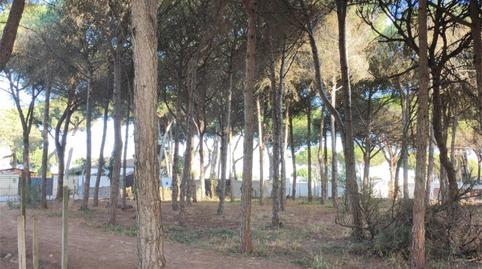 Foto 3 de Pis en venda a Camino Colada de Fuente Amarga, 69, Las Lagunas - Campano, Cádiz