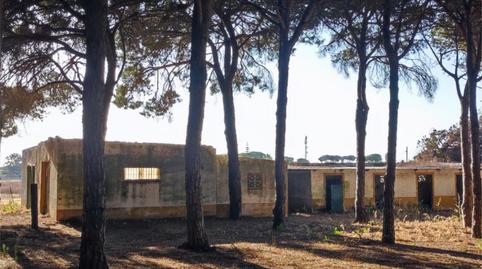 Foto 5 de Pis en venda a Camino Colada de Fuente Amarga, 69, Las Lagunas - Campano, Cádiz