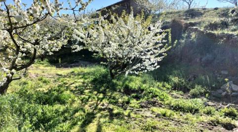 Country house for sale in Calle la Nogalea, 7a, Jerte, Cáceres - image 3 Photo 3 of Country house for sale in Calle la Nogalea, 7a, Jerte, Cáceres