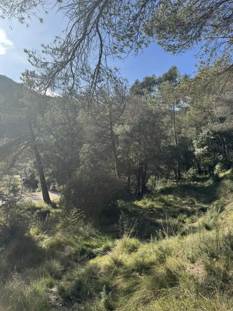 Bebaubares Gelände zum Verkauf in Sant Martí de Centelles